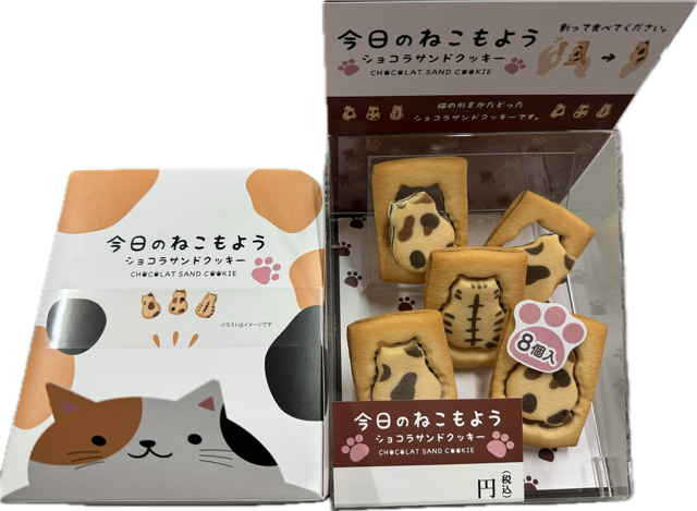 今日のねこもよう